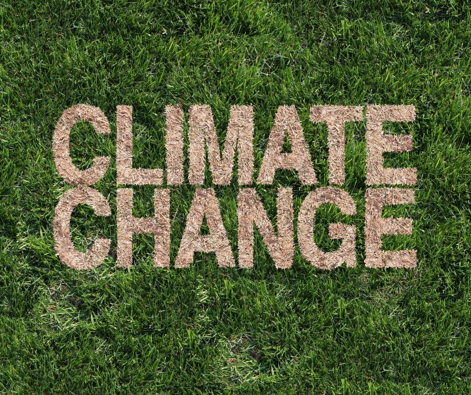 Health Impacts of Climate Change, Costs and Benefits of Action and Inaction