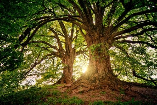 Community Wildlife Grant in the United Kingdom