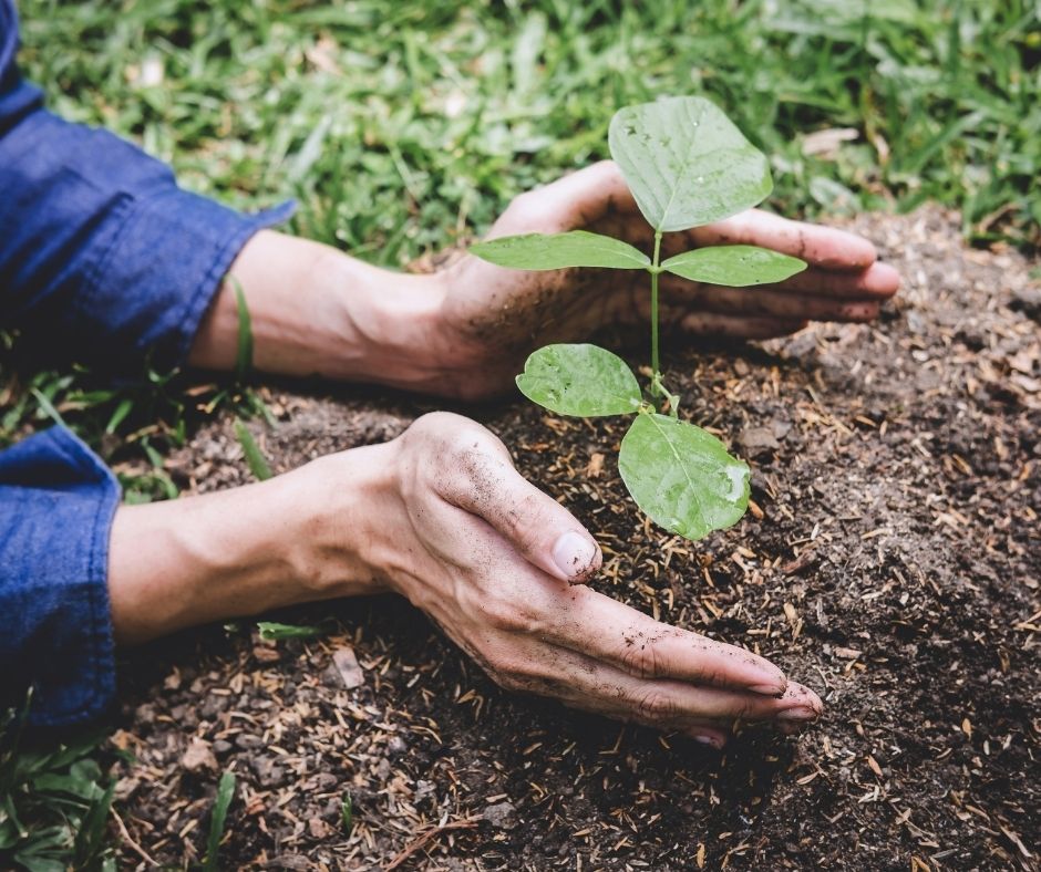 2021-22 Environmental Grants Program - Australia