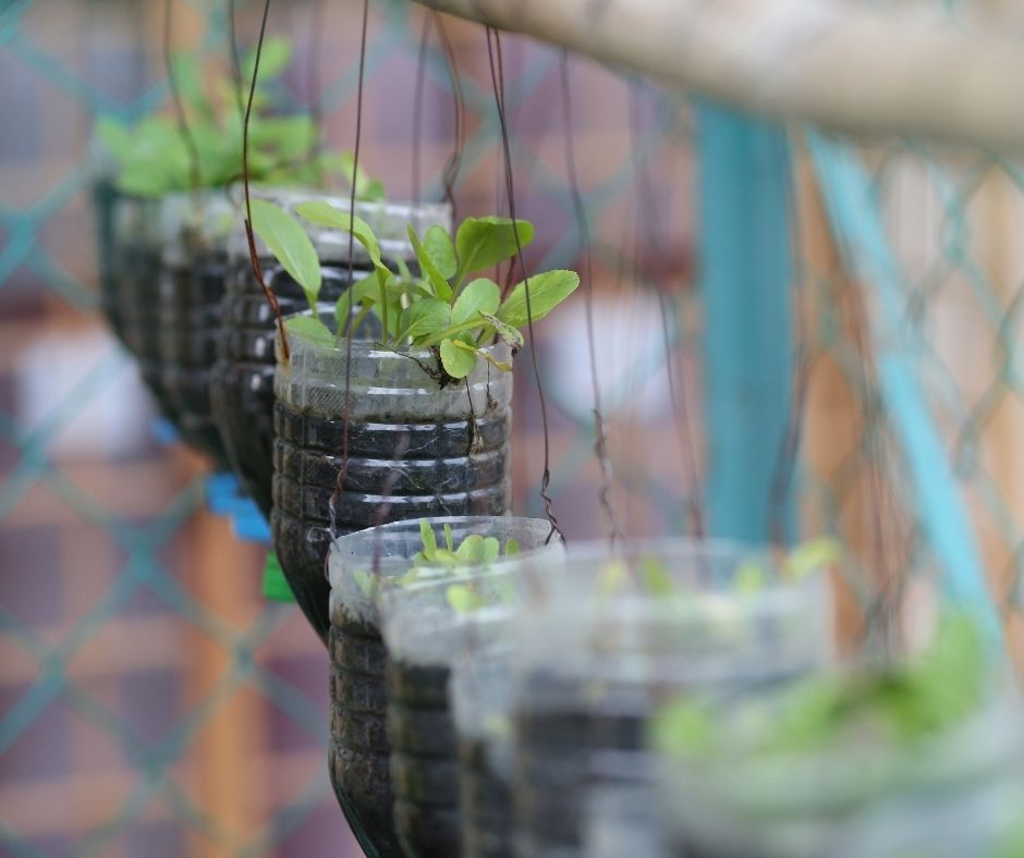 IUCN: Circular Plastic Economy Innovation Lab