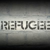 UNDP Public Call for the Unemployed Roma and Returnees in Serbia