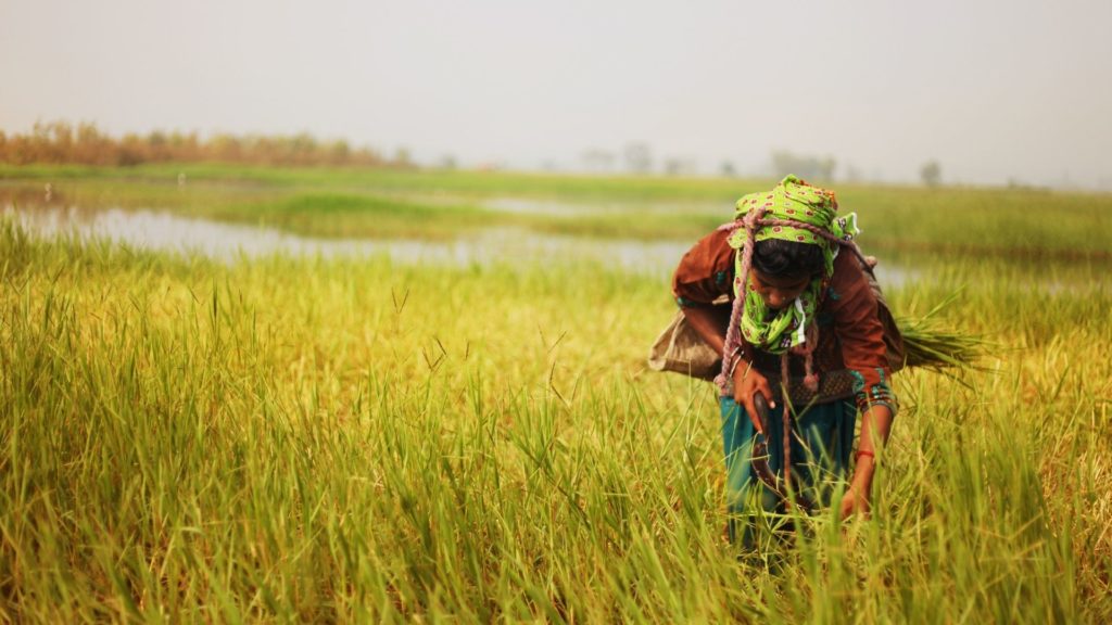 Lebanon: Join 4th batch of Agrytech Accelerator Program and get up to $100k in funding