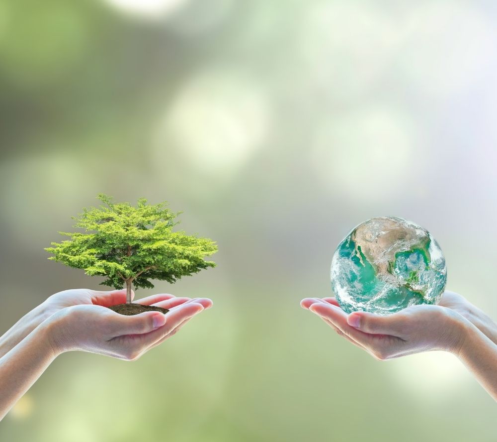 New Zealand: Indigenous Biodiversity Community Grant Program
