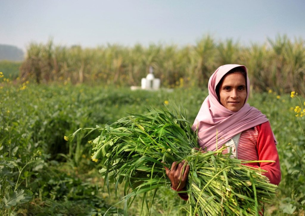 10+ Women Empowerment Grants That NGOs can apply today!