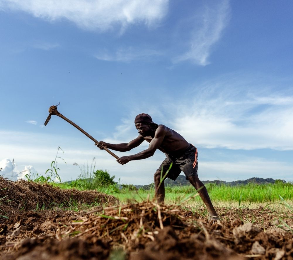 Open Call to Measure Emissions and its Reductions from Agriculture Sector in Nigeria