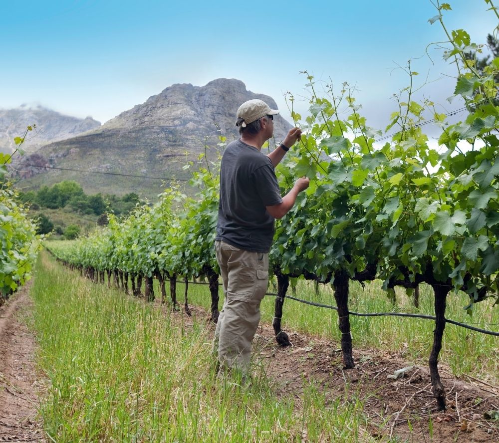 Nominations Open for 2022 Australian Farmer of the Year Award