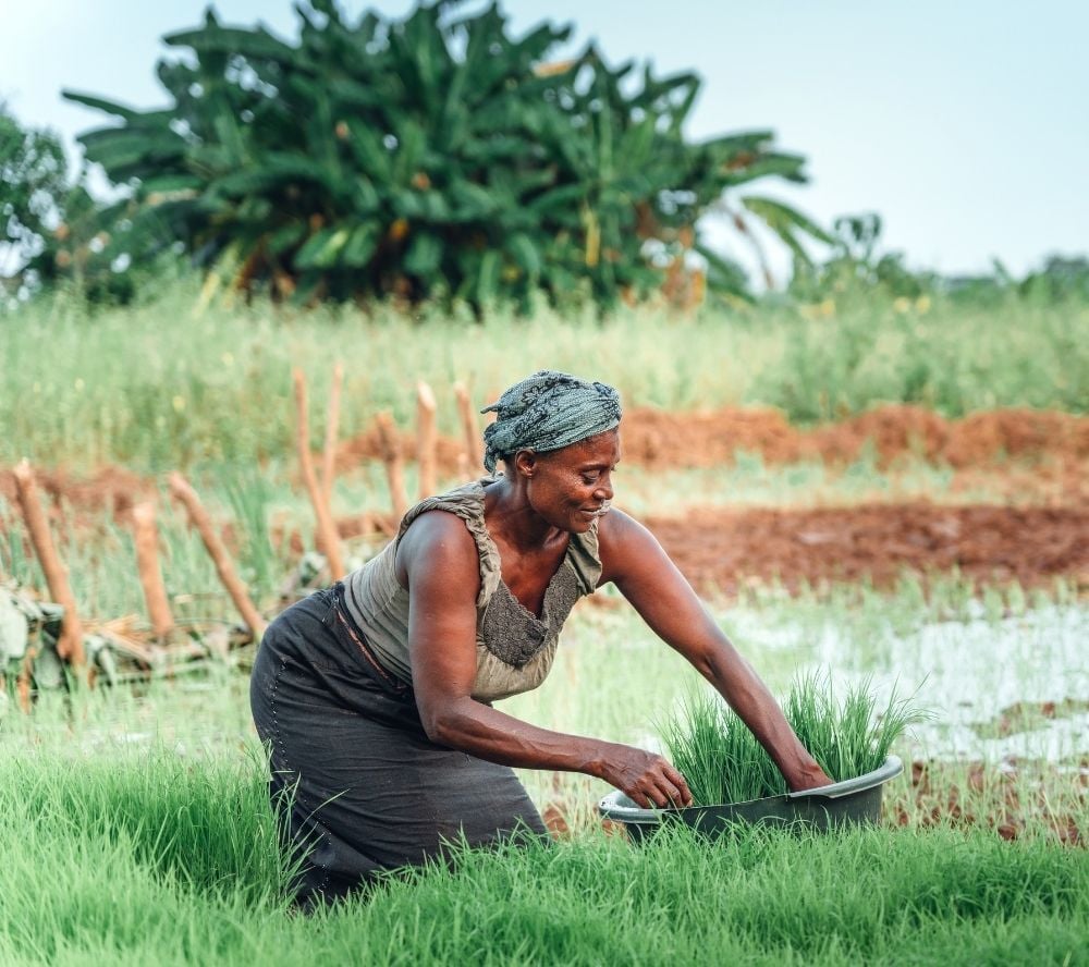 Call for Concept Notes: Inclusive Development of Sustainable Farming Systems - Uganda