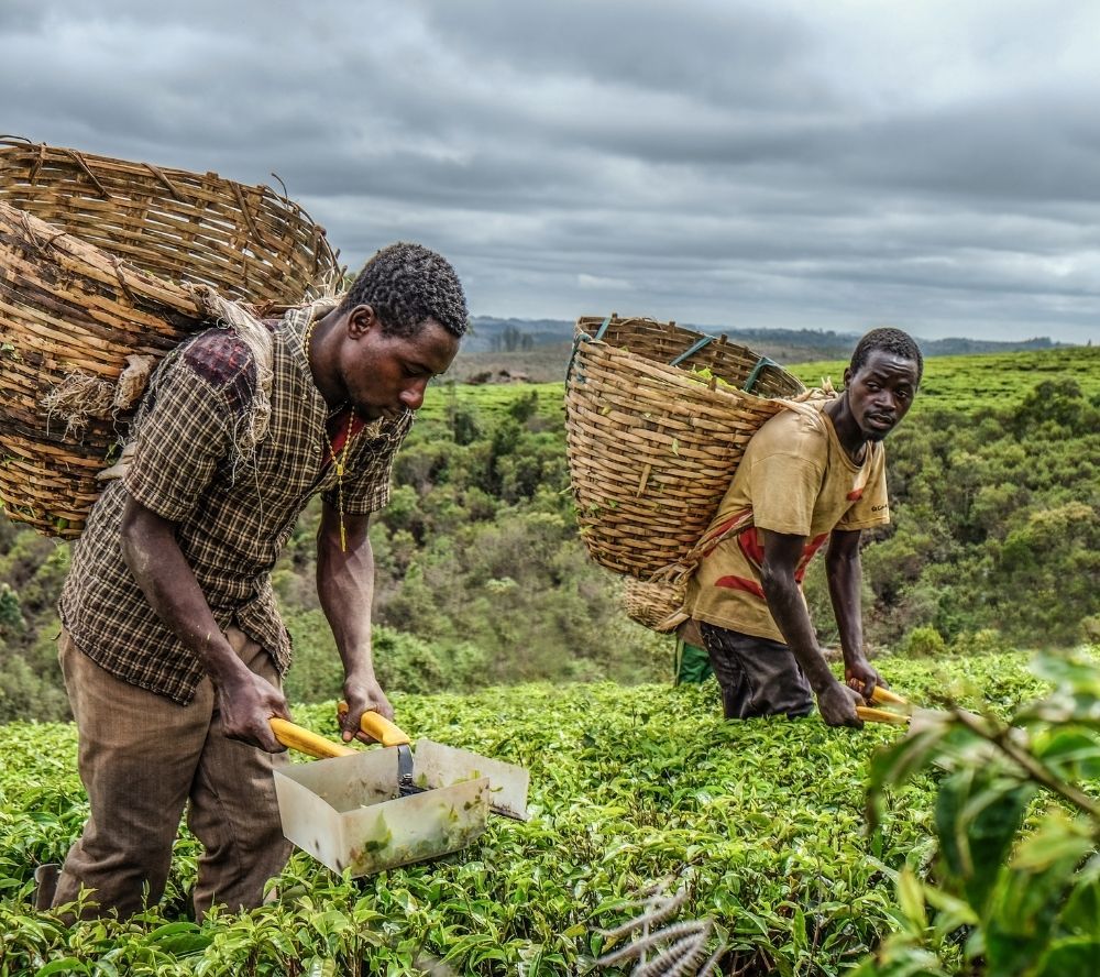 Call for Proposals: African Adaptation Initiative (AAI) Project