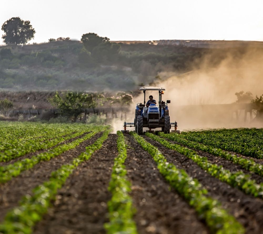 Public Call for Grants for Marketing of Agri-food Products in BiH