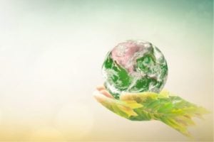 Nordic Arctic Co-operation Programme