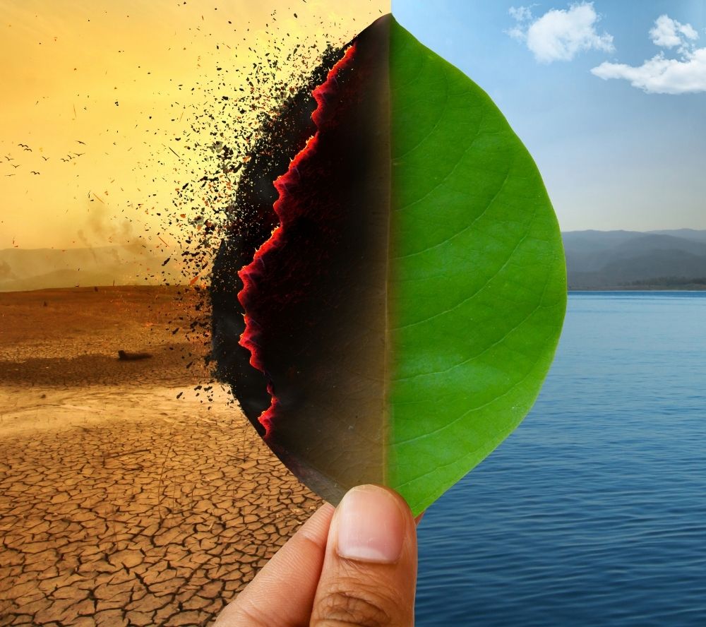 Climate Label for Women in Energy Incubator Program in India