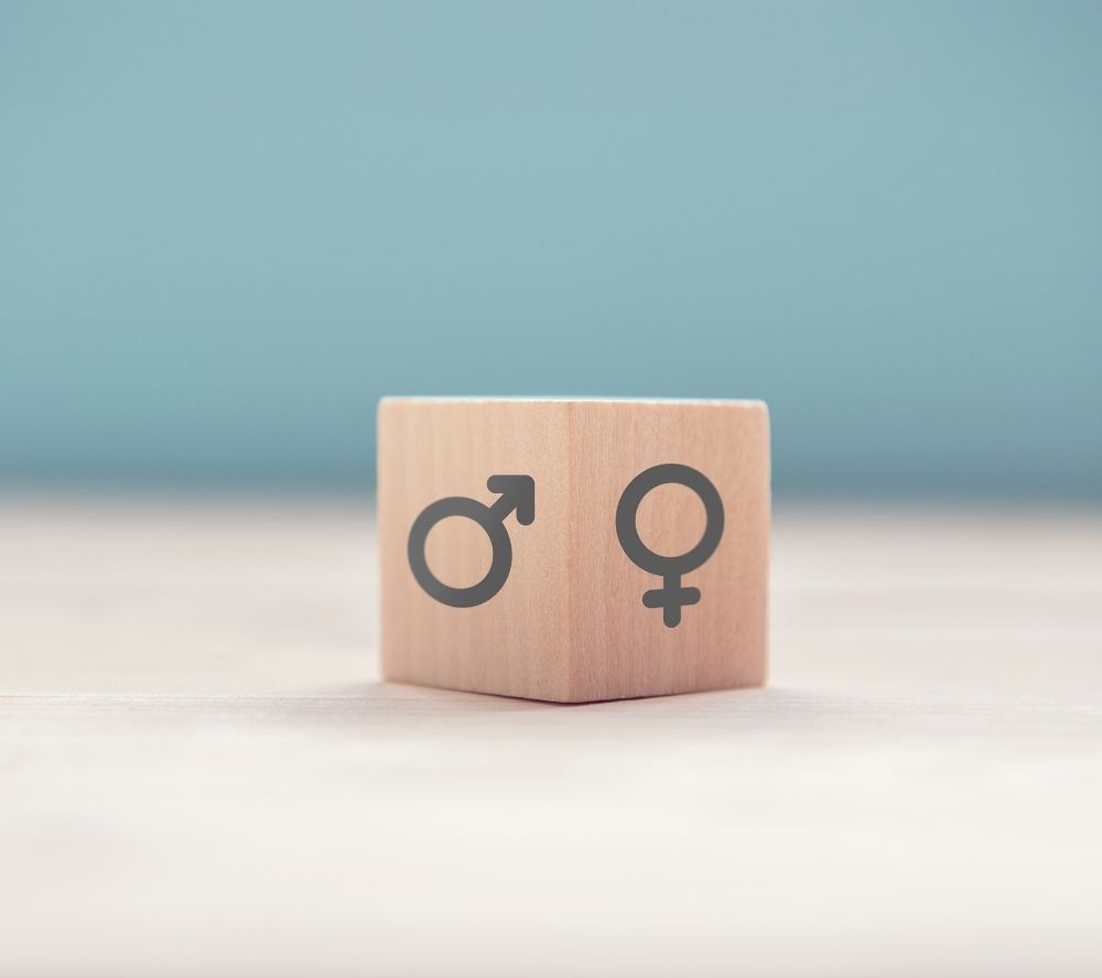 UN Women: Strengthening the Gender Architecture in Sudan