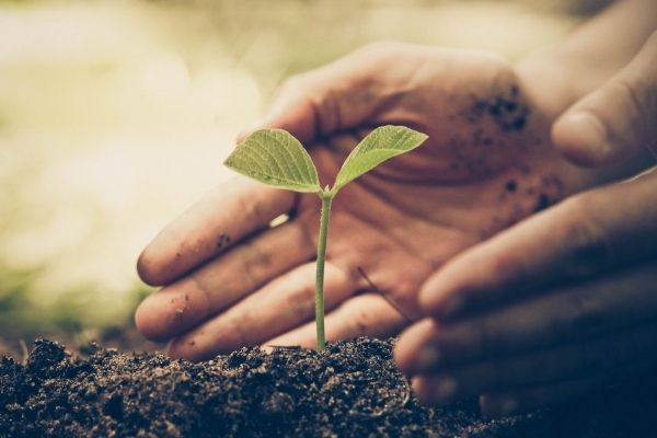 Seeding Grant Aid (Ireland)