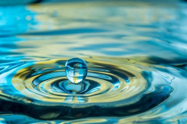 Apply Now for Transformative Water Leadership Academy (US)