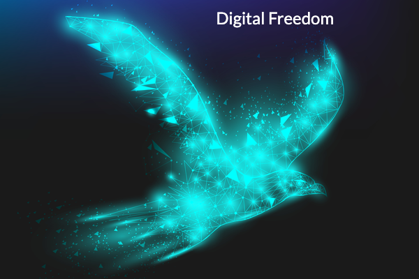 Applications open for Digital Freedom Fund 2025