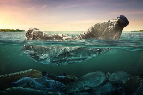 2023 Request for Proposals: Chi-Cal Rivers Fund - United States