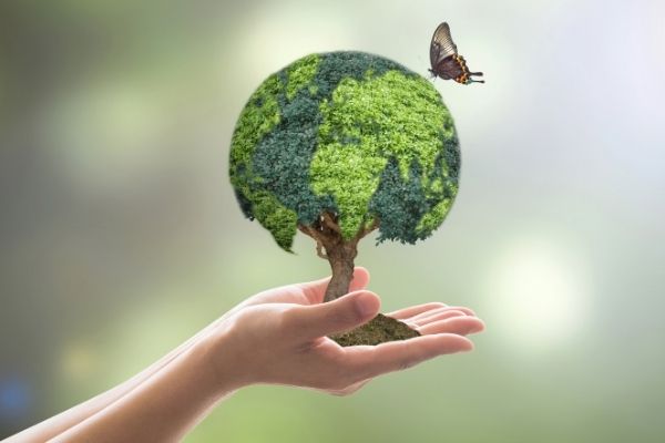 Call for EoIs to Establish a Knowledge Hub in the Framework of the ERA-NET Cofund