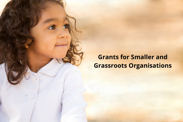 Grants for Smaller and Grassroots Organisations