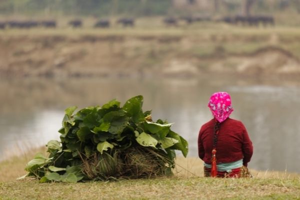Grants for Strengthening Knowledge and Capacities on Gender-Responsive Macroeconomic Policy in Nepal