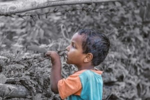 Call for Applications: Preventing Malnutrition Among Vulnerable Women & Children in Gaza