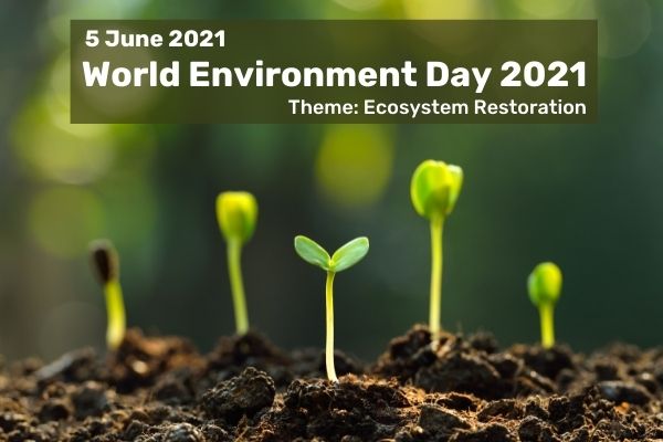World Environment Day 2021: New Environment & Conservation Grants for NGOs
