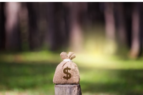 SPECA Grants Program in the US