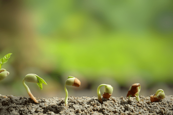 Canada: FWCP's Seed or Large Grant