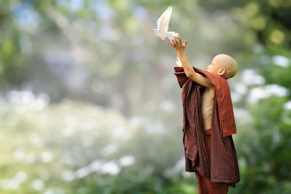 Submit Proposals: Khyentse Foundation's Ashoka Grant