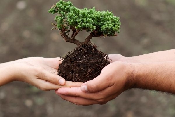 2022 Victorian Landcare Grants Program (Australia)