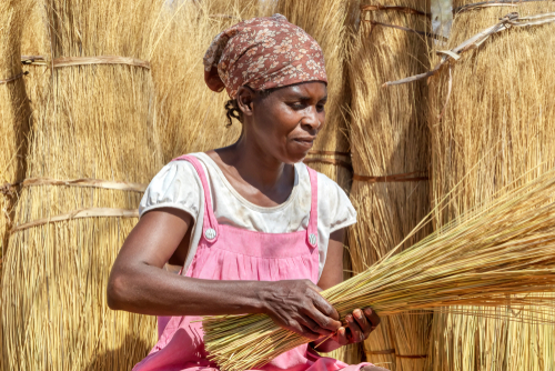 Uganda: Call for Proposals from Non-profit Business Development Service Providers