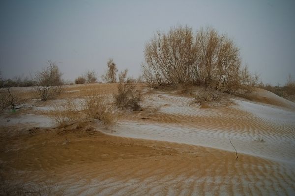 Call for Abstracts: International Conference on Cold Winter Deserts - Uzbekistan - fundsforNGOs Call for Abstracts: International Conference on Cold Winter Deserts - Uzbekistan