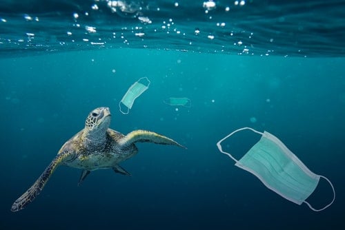 Ocean Resilience Innovation Challenge – Apply Now!