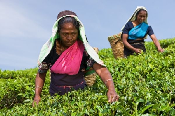 Women Climate Champions: ImpactAim SDG5 Accelerator Programme in India