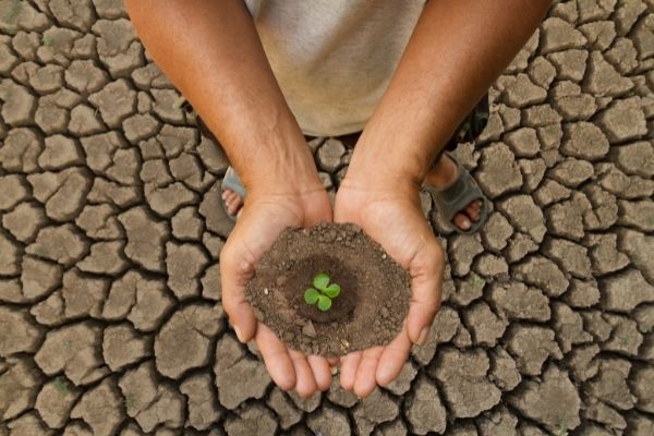 Call for Application under Climate Resilience Academy for South Asia