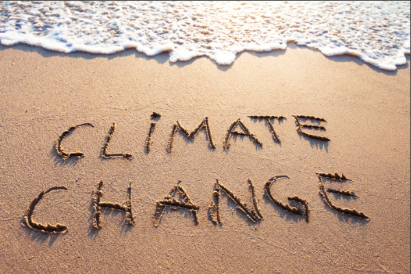 Madagascar: Innovative Projects and Start-ups in Field of Climate Change