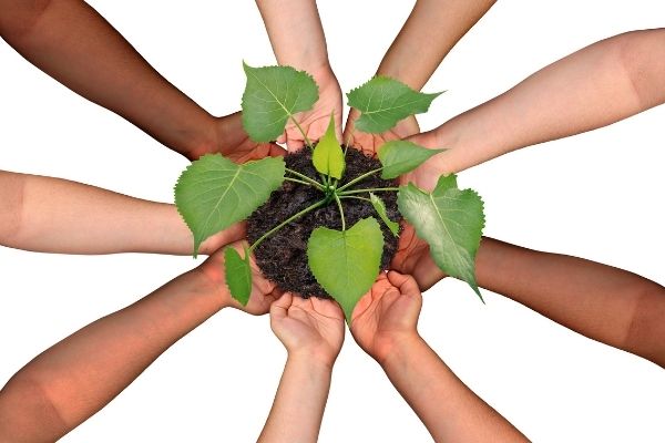 Small Capacity Building Grant in the US