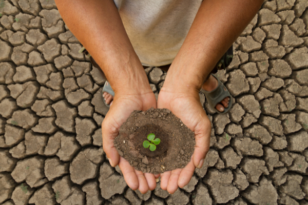 City of Newcastle: Youth Climate Action Grant Program (Australia)
