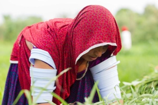 19th Call of BIRAC's Biotechnology Ignition Grant (BIG) Scheme | Apply Now (India)
