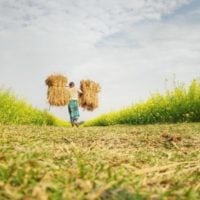 John Ogonowski and Doug Bereuter Farmer-to-Farmer Program