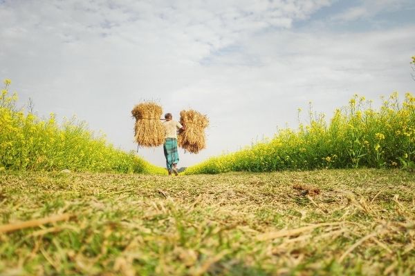 John Ogonowski and Doug Bereuter Farmer-to-Farmer Program