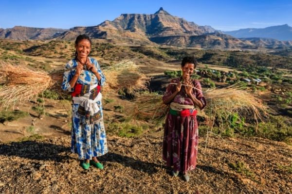 CFPs: ResiliArt Accelerator Zimbabwe Implementation Partner