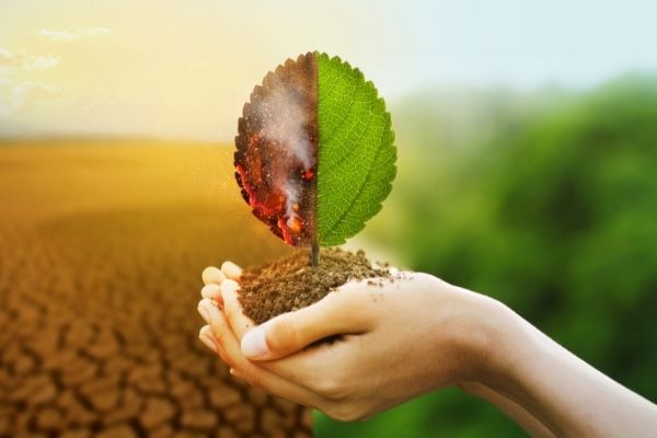 Applications open for SAREP Partnership Fund Program 2025