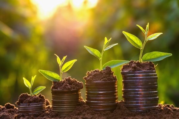 INVESTMED Open Call for Sub-grant Applications from MSMEs