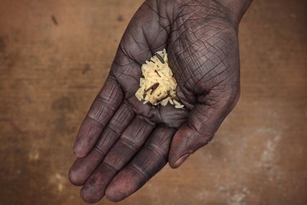 WFP Innovation Challenge 2021