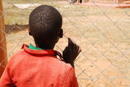 Request for Statements of Interest from Organizations in Senegal and Guinea-Bissau