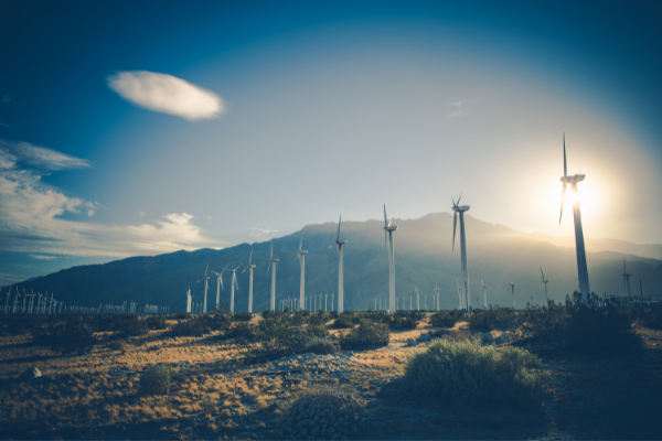 60+ Funding Grants evolving Renewable Energy and Climate Change