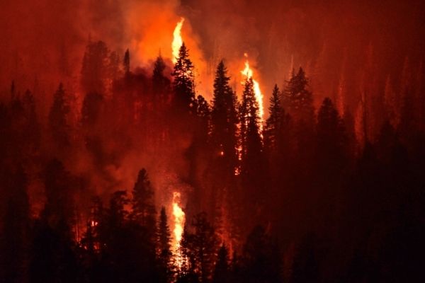 NOFO: Fuels Management and Community Fire Assistance (US) - fundsforNGOs NOFO: Fuels Management and Community Fire Assistance (US)