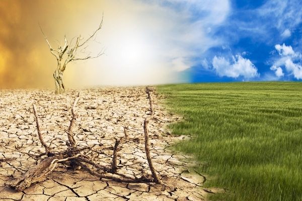Call for Applications: “Climate Leadership from Commitments to Action”