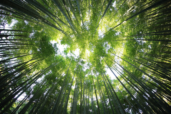 Call for Expressions of Interest: Green Skills Air Quality Programme (Macedonia)