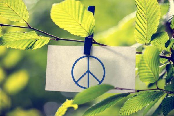 Grants for in-country Civil Society Actors in Colombia and Brazil